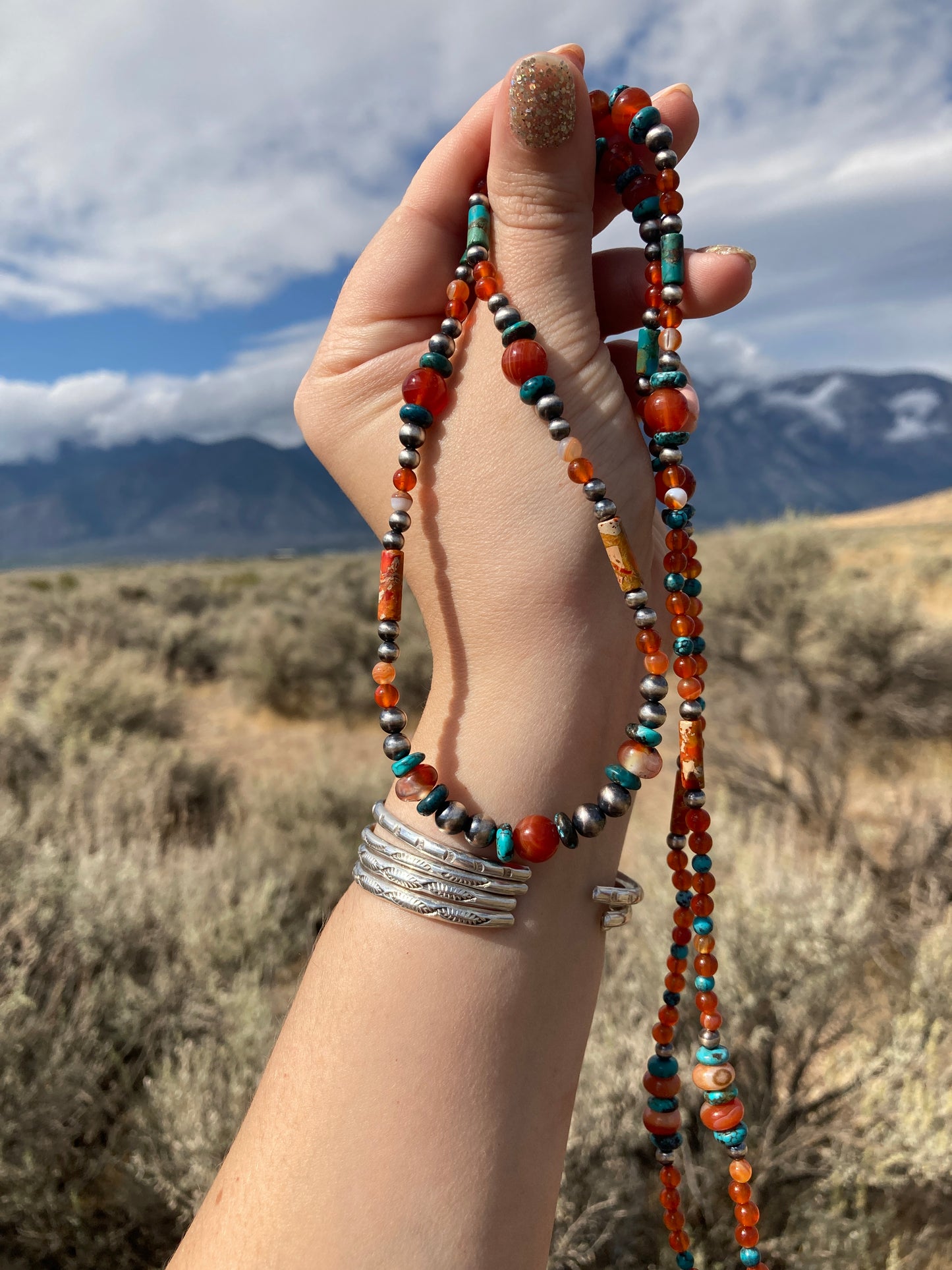 Turquoise and Carnelian Long Necklace