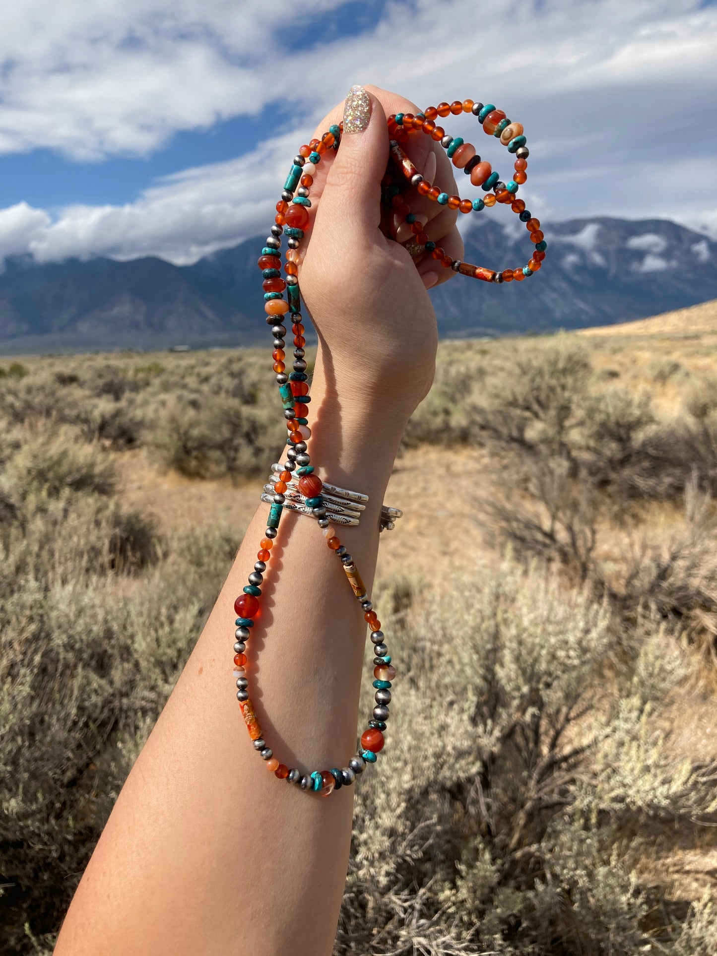 Turquoise and Carnelian Long Necklace