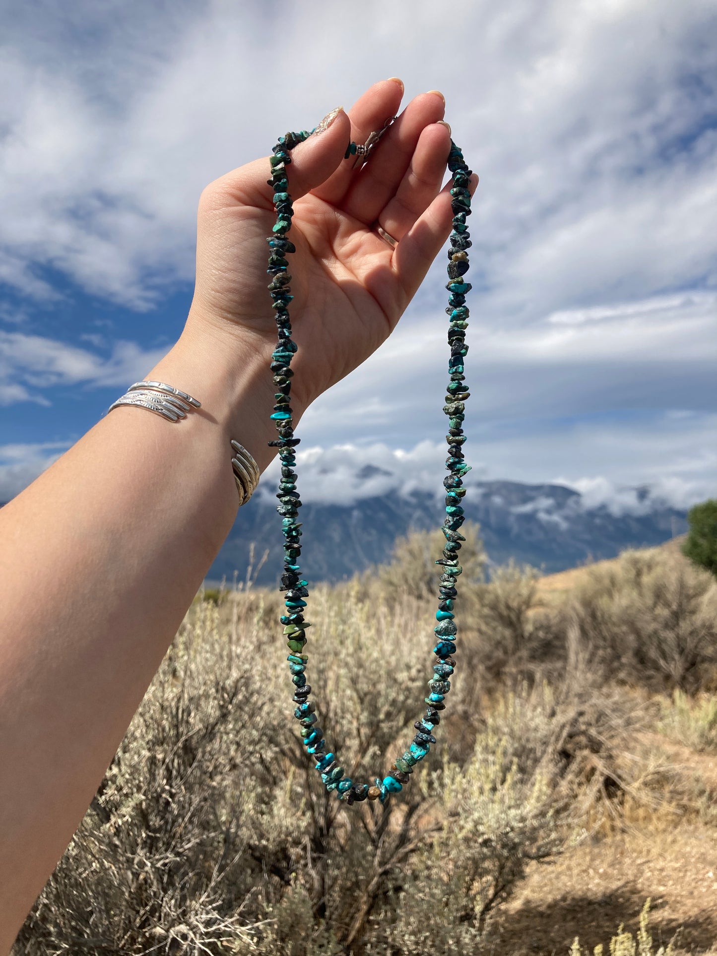 Turquoise Chip Necklace