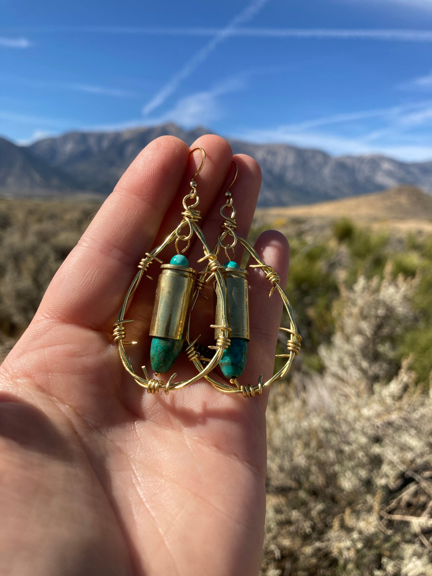 Bullet Barbed Teardrop Earrings