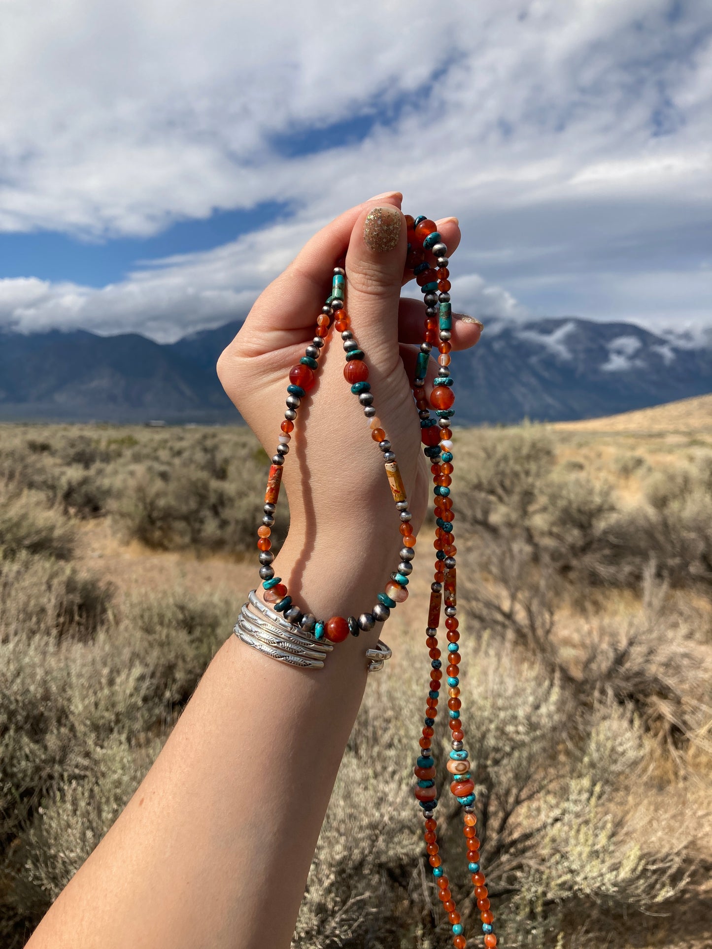 Turquoise and Carnelian Long Necklace